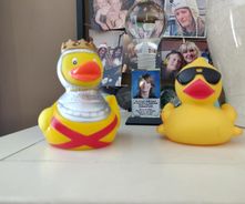 Fancy Duck family 